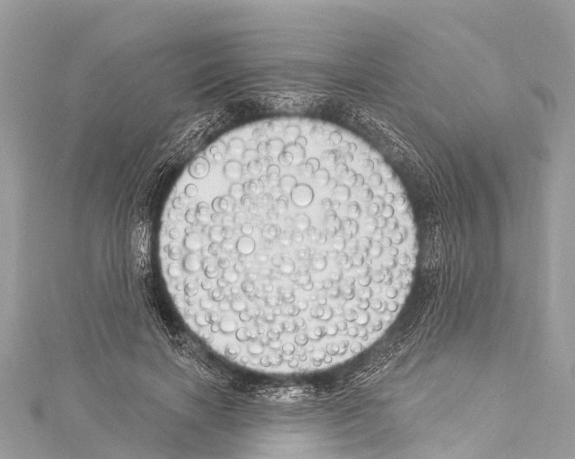 X0000114180646200911191308