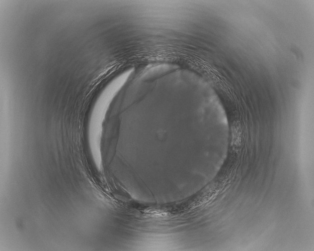 X0000114180648200911191308