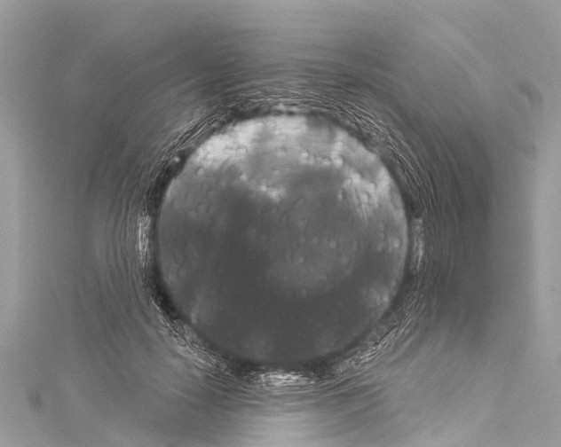 X0000114180650200911191308