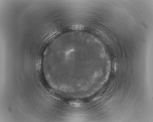 X0000114180652200911191308