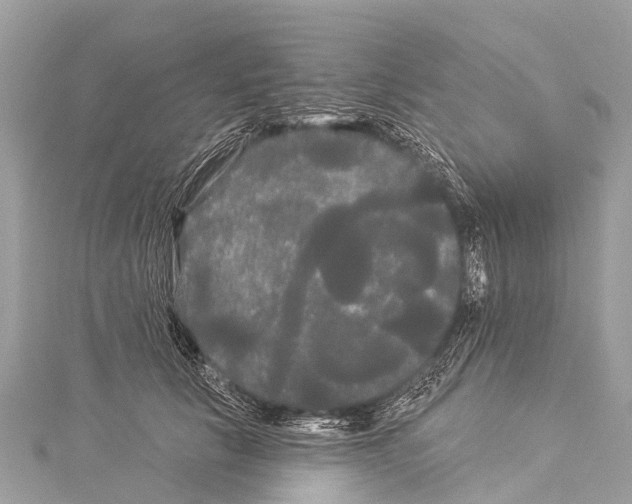 X0000114180657200911191308