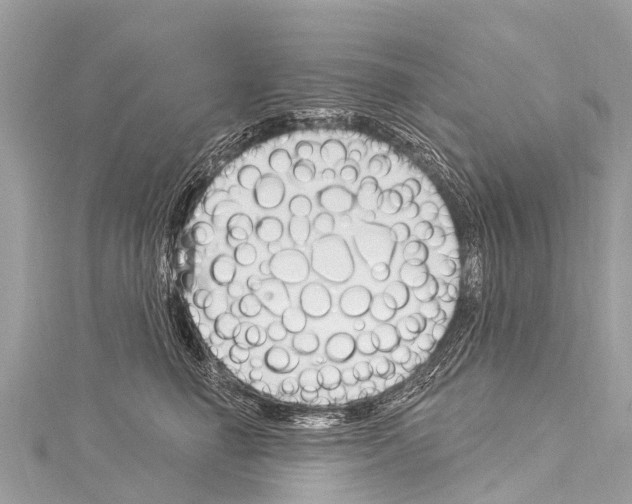 X0000114180662200911191308