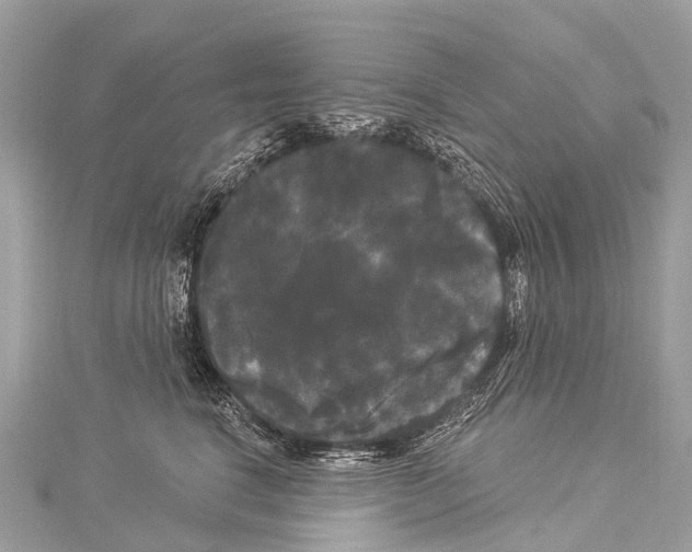 X0000114180664200911191308