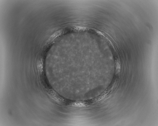 X0000114180668200911191309