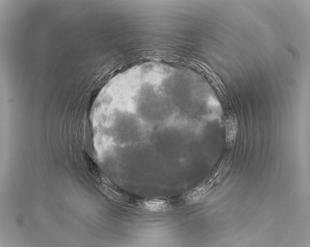 X0000114180669200911191309