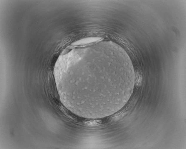 X0000114180670200911191309