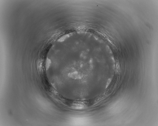 X0000114180671200911191309