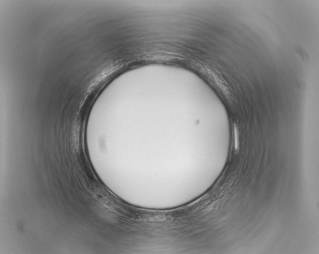 X0000114180675200911191308