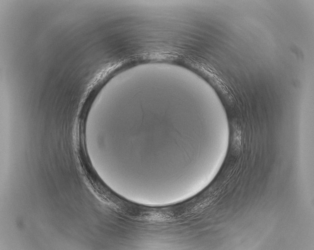 X0000114180678200911191308