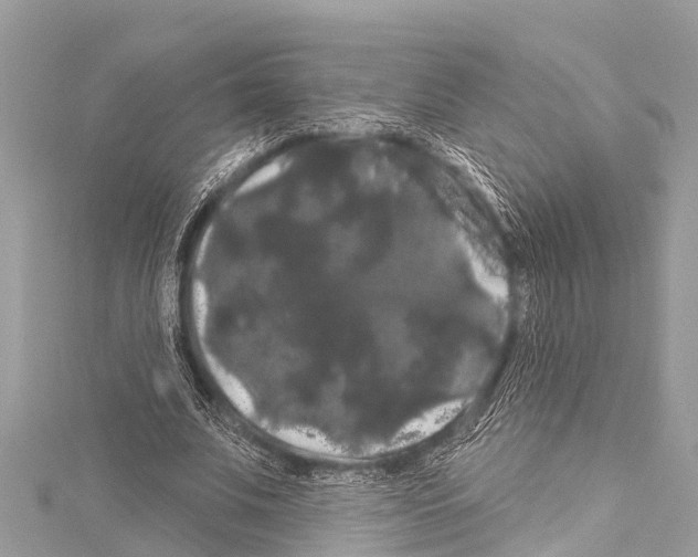 X0000114180679200911191308