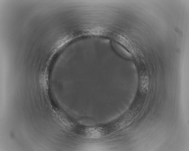 X0000114180680200911191308