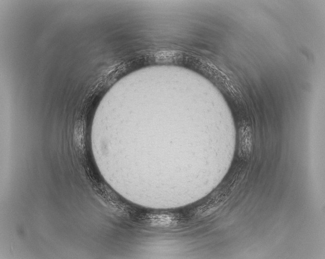 X0000114180698200911191308