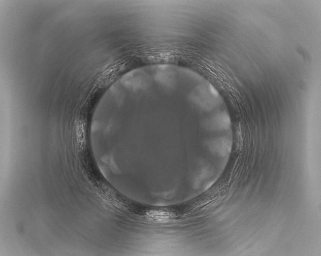 X0000114180699200911191308