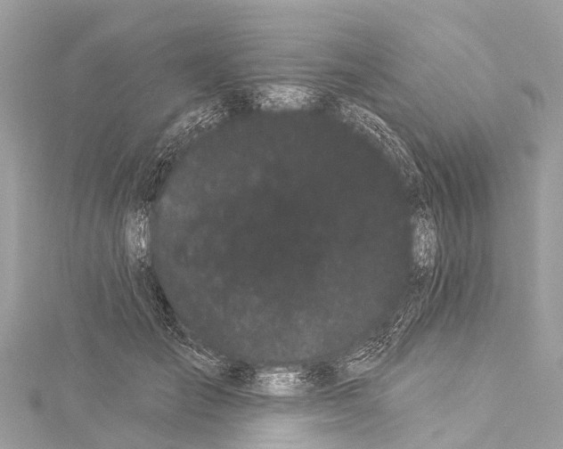 X0000114180701200911191308