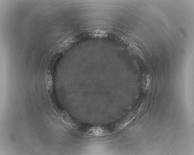 X0000114180704200911191308