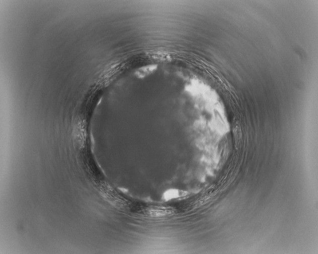 X0000114180707200911191308