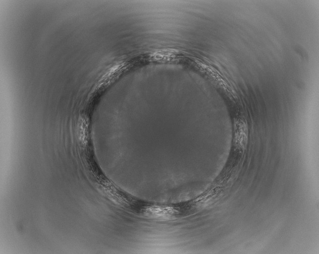 X0000114180712200911191307