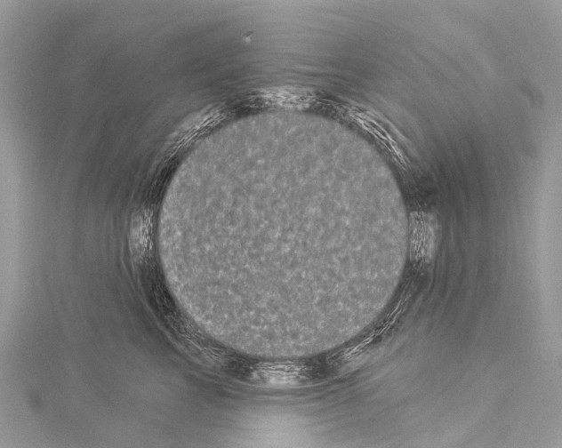 X0000114180713200911191307