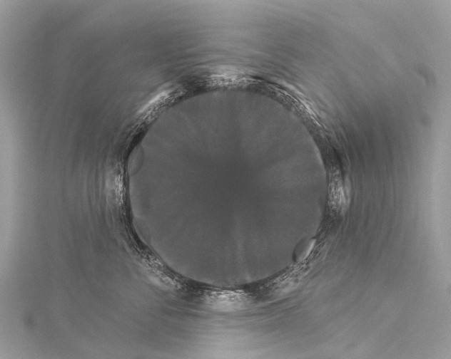 X0000114180716200911191307