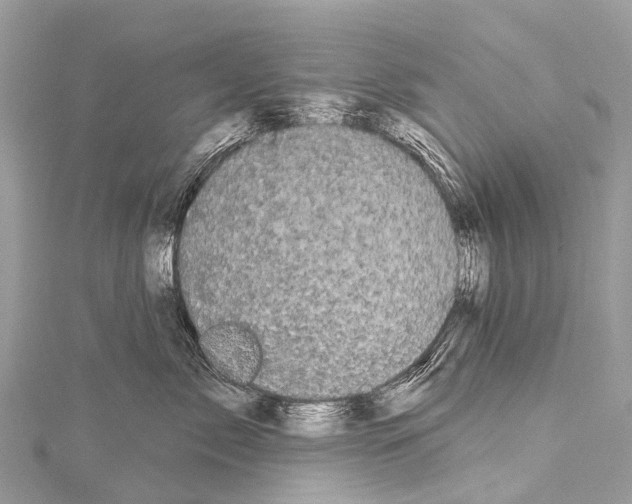 X0000114180717200911191307