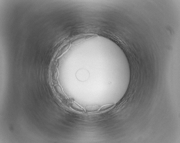 X0000114180720200911191307