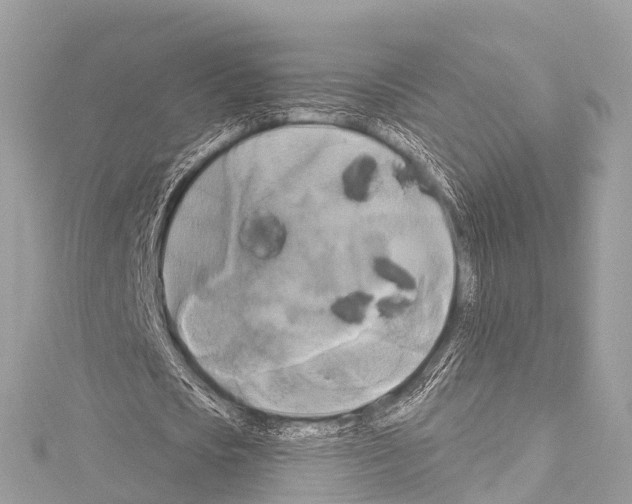 X0000114180721200911191307