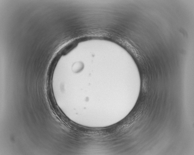 X0000114180724200911191307