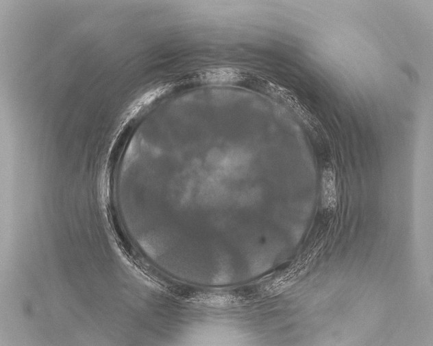 X0000114180726200911191307