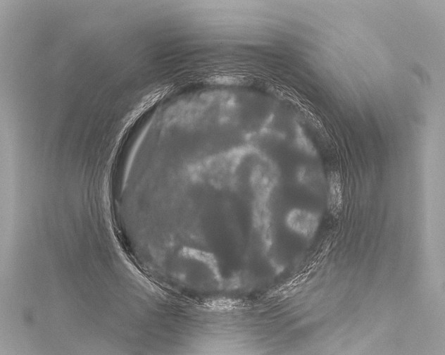 X0000114180734200911191307