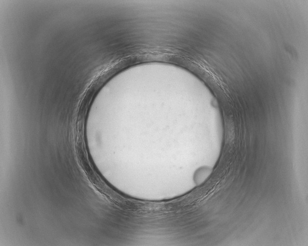 X0000114180736200911191307