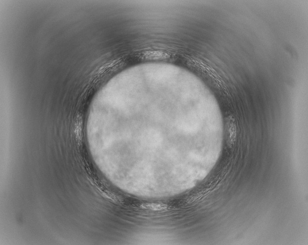 X0000114180745200911191307