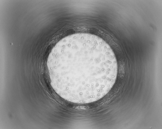 X0000114180751200911191307