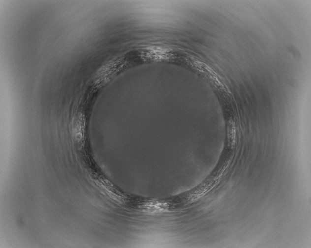 X0000114180760200911191307