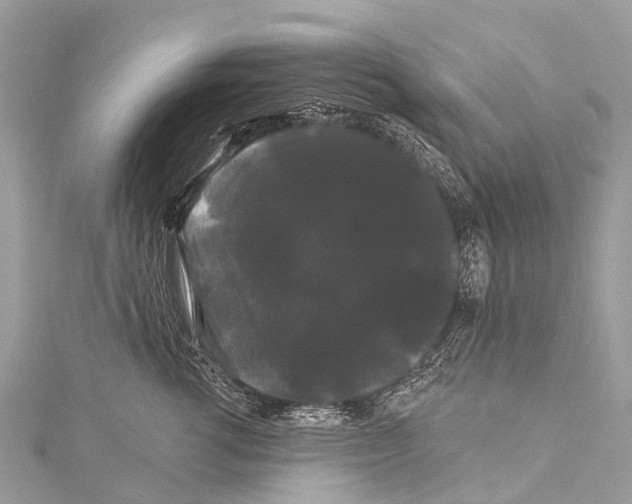 X0000114180762200911191307