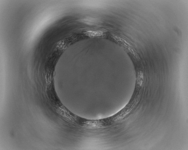 X0000114180763200911191307