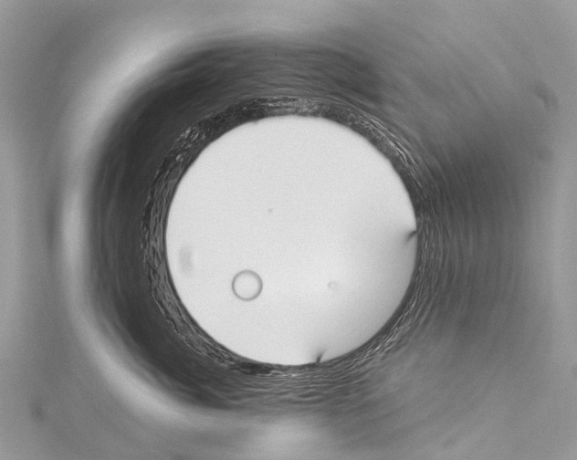 X0000114180764200911191307