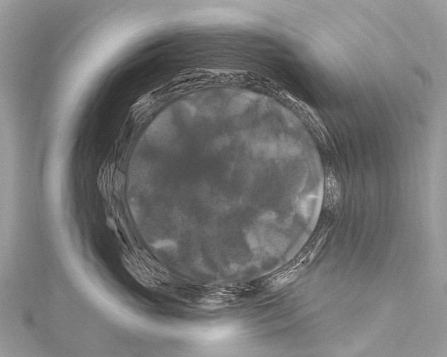 X0000114180765200911191307