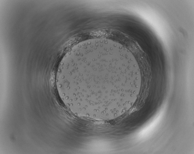 X0000114180767200911191307