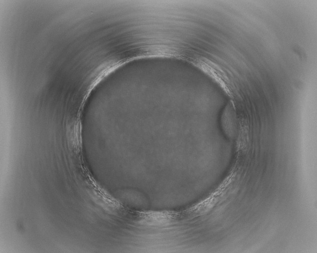 X0000114180781200911191307