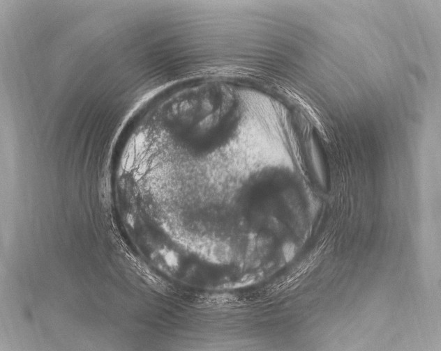 X0000114180784200911191307