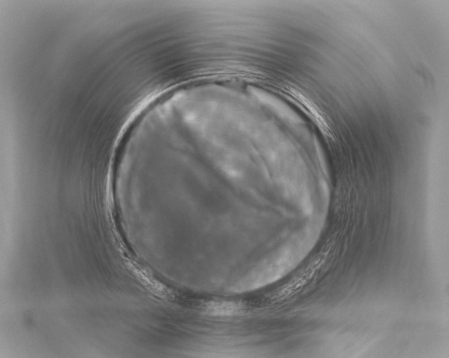 X0000114180788200911191306