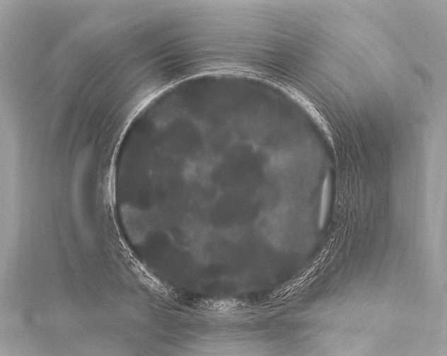 X0000114180791200911191306