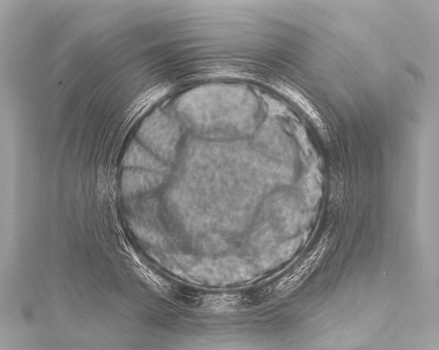 X0000114180793200911191306