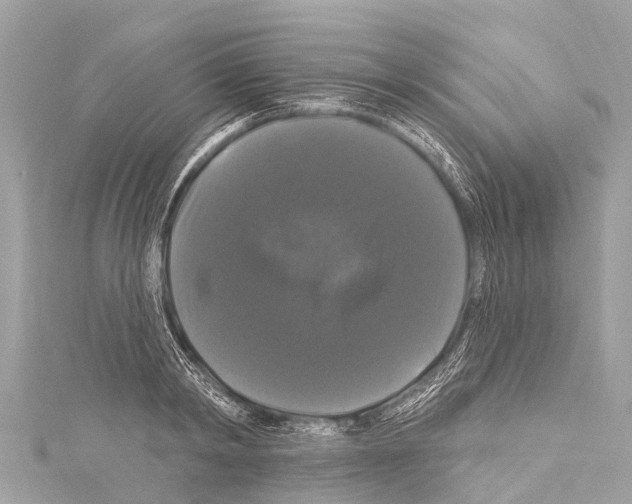 X0000114180798200911191306