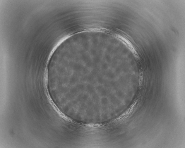 X0000114180804200911191306