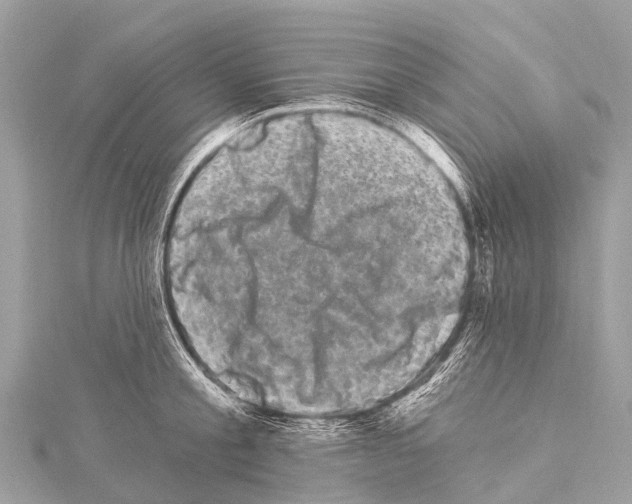 X0000114180805200911191306