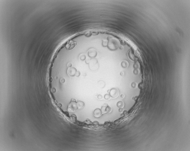 X0000114180807200911191306