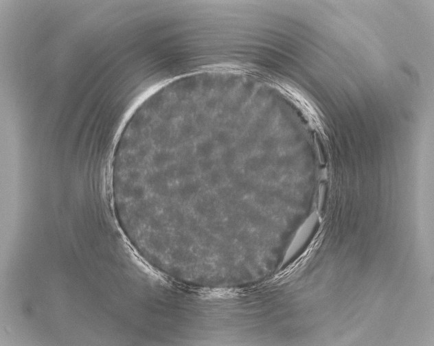 X0000114180808200911191306