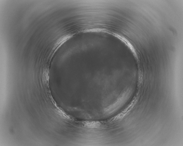 X0000114180809200911191306