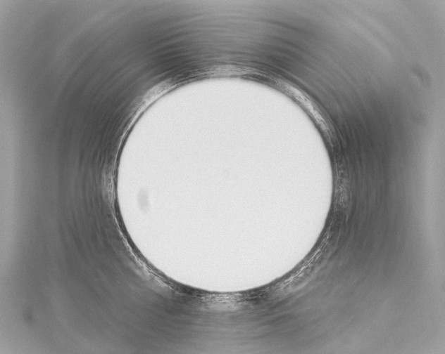 X0000114180810200911191306